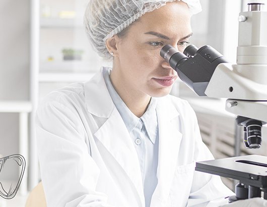 蚂蚁分类信息系统